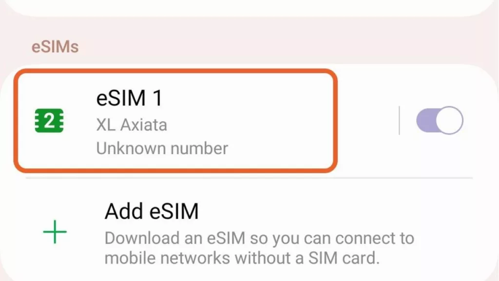 Cara Registrasi eSIM Perdana, Siapkan 2 Dokumen Penting Ini! 4 Tips Registrasi eSIM Perdana Agar Lancar