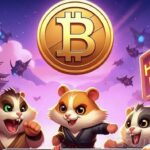 Asal Usul dan Masa Depan Hamster Kombat