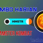 Combo Harian Hamster Kombat