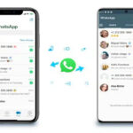 WhatsApp Rilis Fitur Baru Bagikan File Gampang dengan Fitur Mirip Quick Share