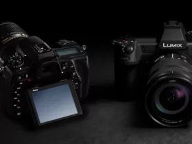 Kamera DSLR vs Mirrorless: Mana yang Terbaik untuk Fotografer Pemula