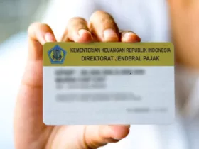 Cara Daftar NPWP Online