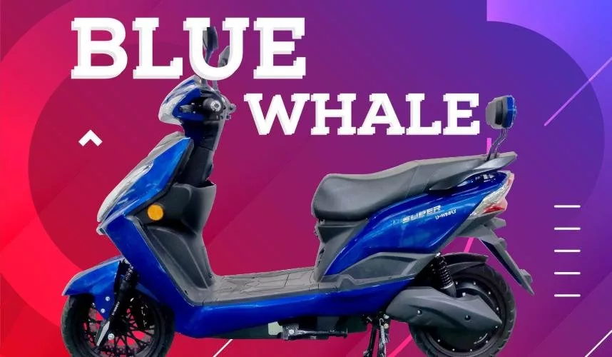 Motor Listrik U-Winfly Blue Whale