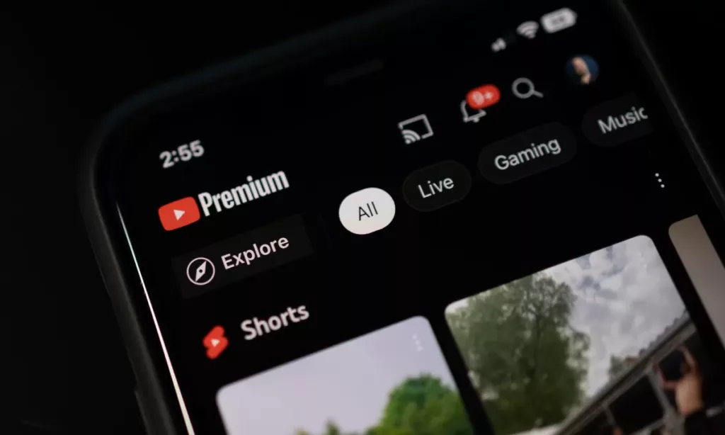 Background Playback YouTube Premium