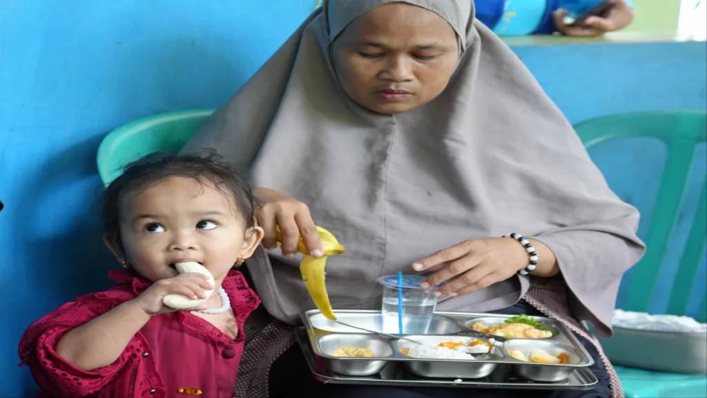 dapur Makan Bergizi Gratis